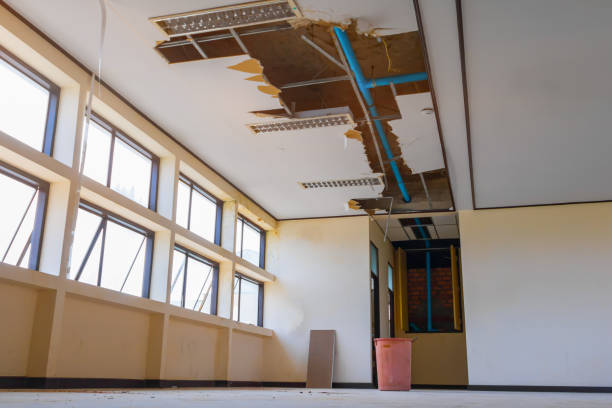 Best Carpet water damage restoration  in Brentwood, PA