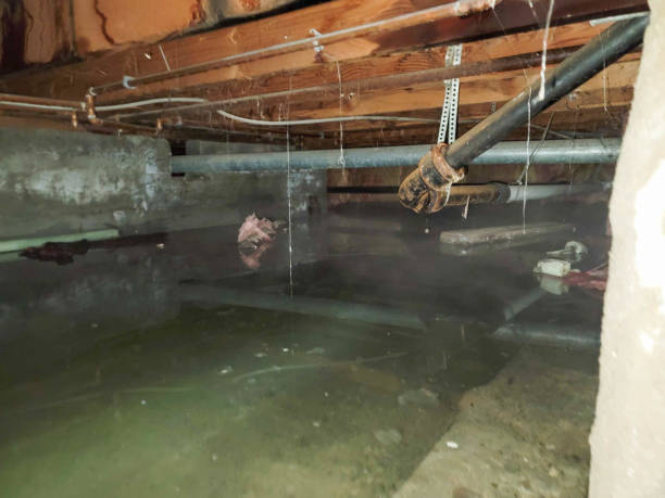 Best Water damage restoration process  in Brentwood, PA