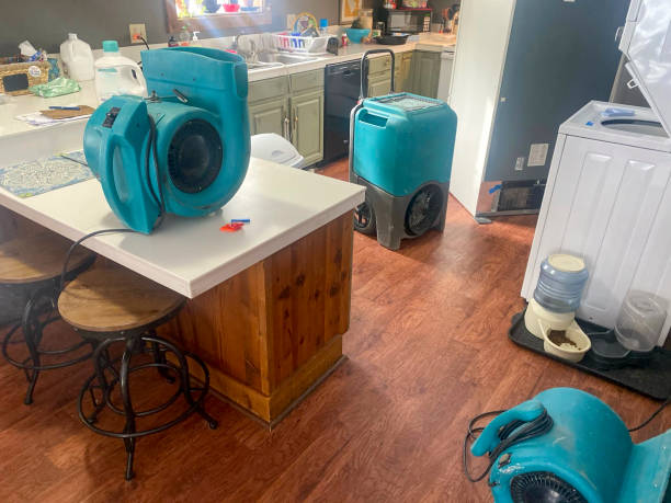 Best Water damage restoration near me  in Brentwood, PA
