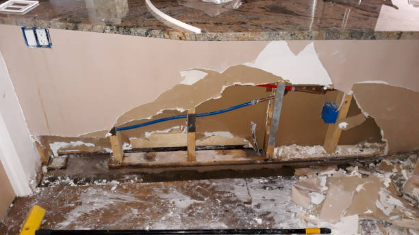 Best Water damage cleanup near me  in Brentwood, PA