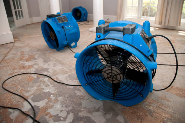 Professional Water damage restoration in Brentwood, PA