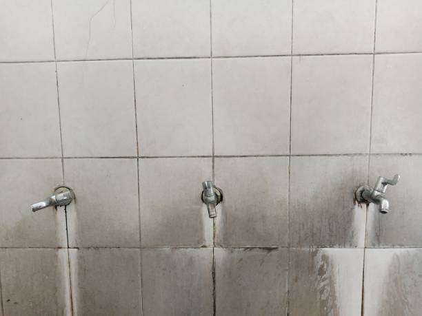 Best Carpet water damage restoration  in Brentwood, PA