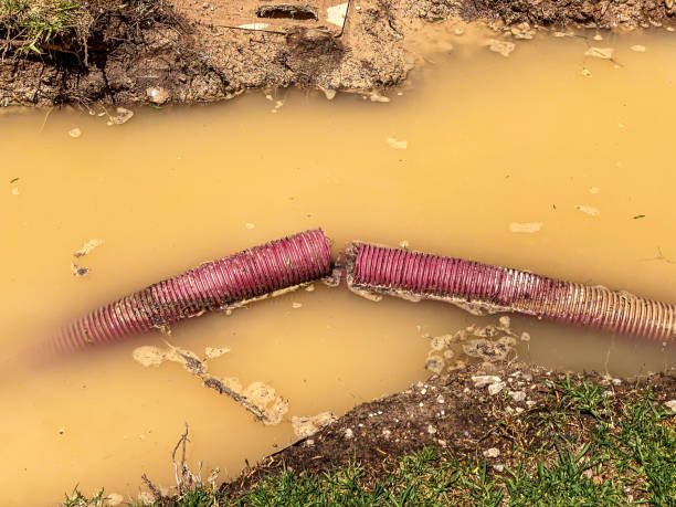 Best Water damage restoration near me  in Brentwood, PA